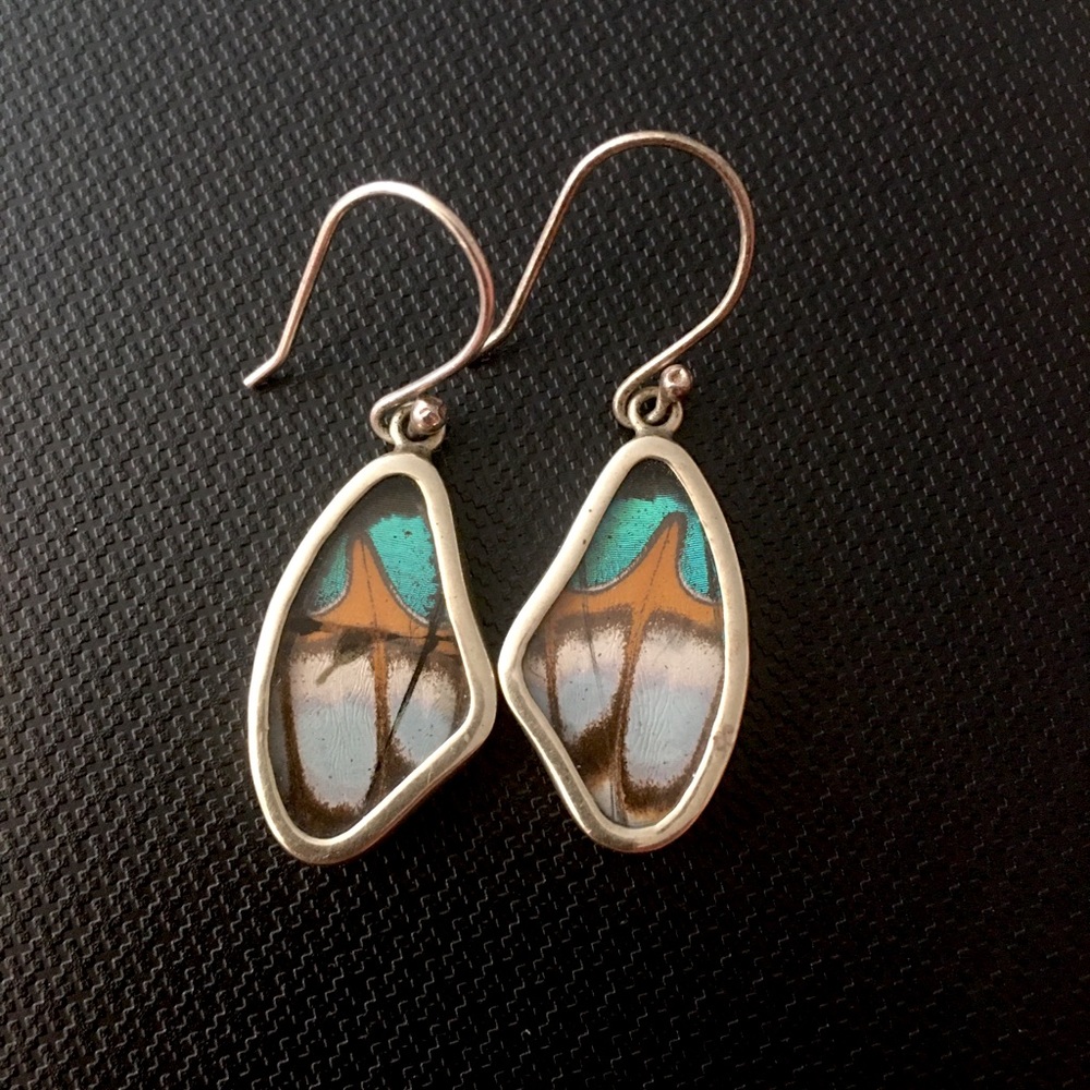Real Butterfly Wing Earrings